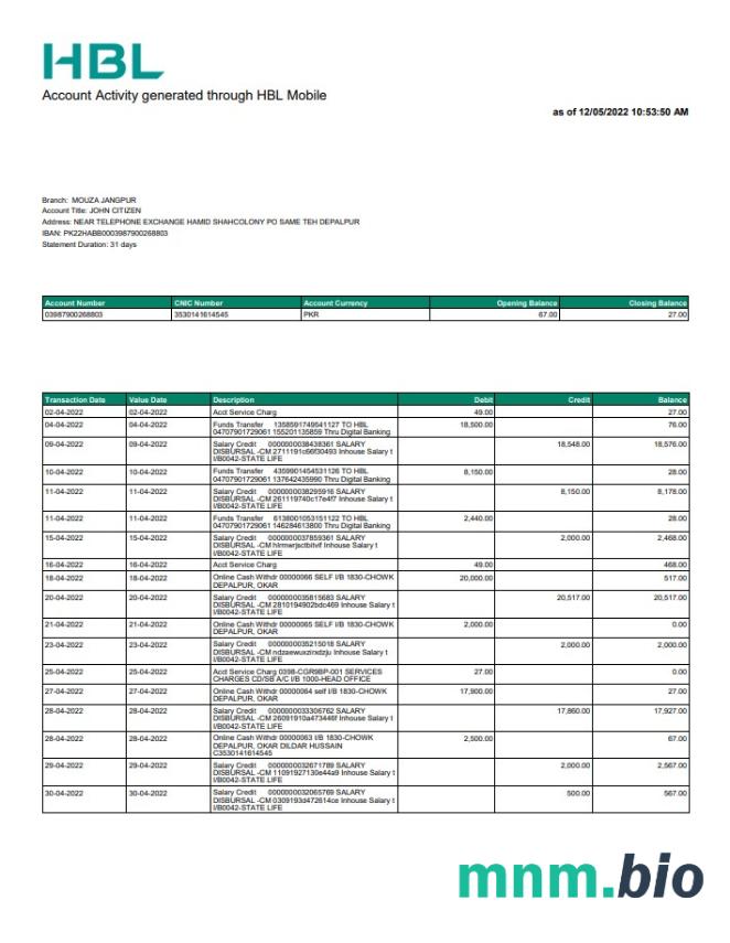 Pakistan HBL konto Wyciąg słowo i PDF szablon